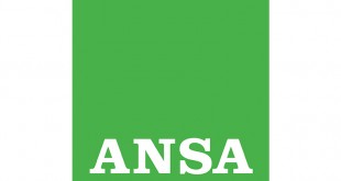 ansa