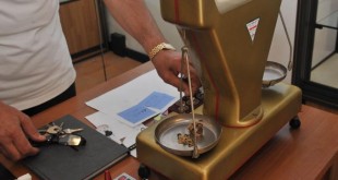 compro oro vivi e vegeti