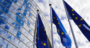 European Union Flags