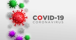 Covid Corona Virus in Real 3D Illustration concept to Describe about Corona Virus anatomy and type.