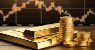 immagine per informativa