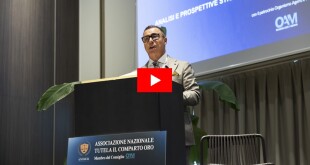 immagine per sito
